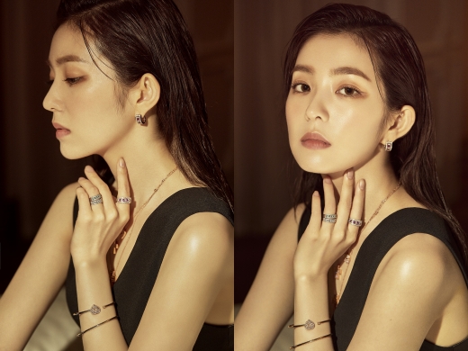 레드벨벳 아이린. /사진=다미아니(DAMIANI)