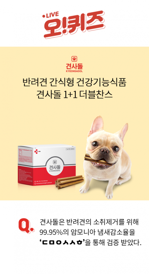 견사돌. /사진=KWAVE 제공