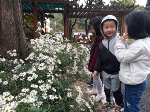 어린이들이 안산시청사에 활짝 핀 가을꽃을 구경하고 있다. / 사진제공=안산시