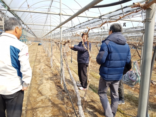 농작업 안전 현장컨설팅. / 사진제공=경기도농업기술원