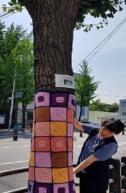 광명시 철산2동 주민이 나무에 뜨개옷을 입히고 있다. / 사진제공=광명시