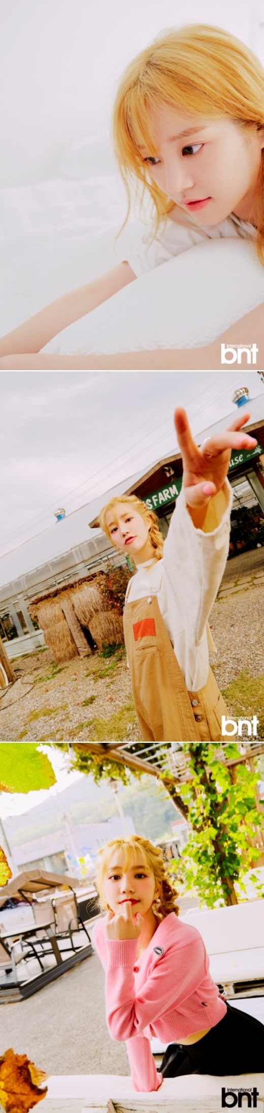 ©레인보우 미디어