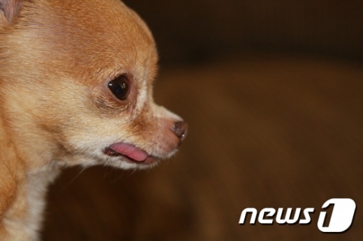 /사진=뉴스1