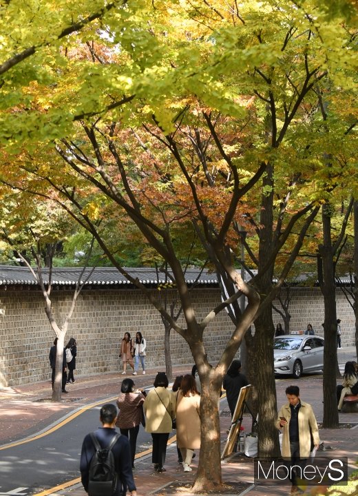 [머니S포토] 단풍으로 물든 덕수궁 돌담길