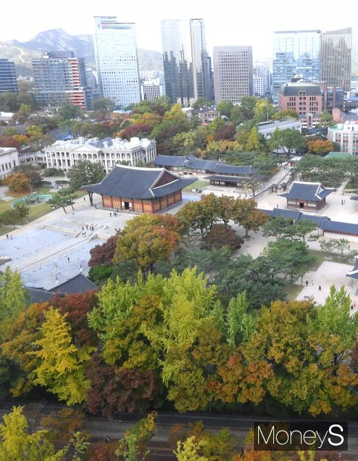 [머니S포토] 울긋불긋 덕수궁 풍경