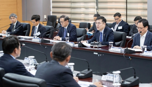 보험약관 제도개선 점검 간담회. /사진제공=금융위원회