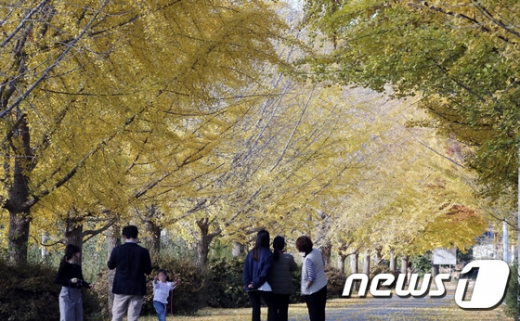 오늘날씨. /사진=뉴스1