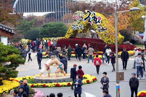 영암 월출산 국화축제에 관광객 90만명이 다녀가 흥행 대박을 터트렸다. /사진제공=영암군
