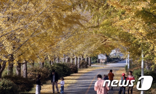 내일날씨. /사진=뉴스1