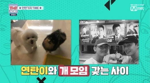 혜정 박서준 뷔. /사진=TMI뉴스 방송캡처