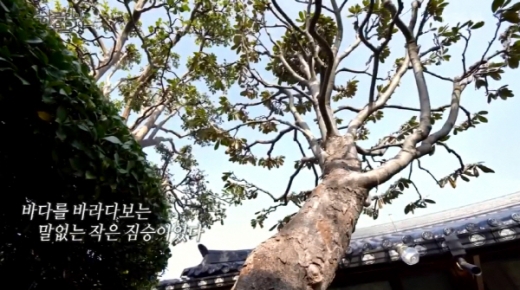 /사진=KBS1 '한국인의밥상' 방송화면 캡처