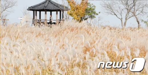 오늘날씨. /사진=뉴스1