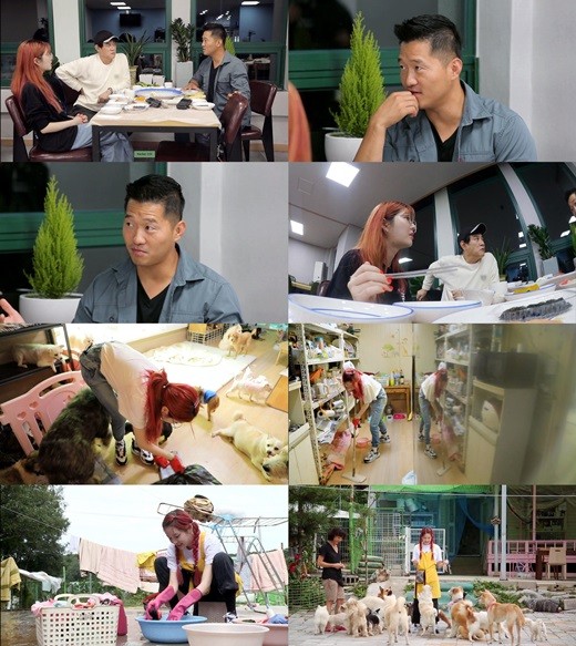 예능프로그램 '개는 훌륭하다'. /사진=KBS 2TV 개는 훌륭하다 방송 캡처