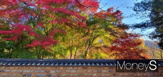 해인사의 단풍. /사진=박성기 여행 칼럼니스트