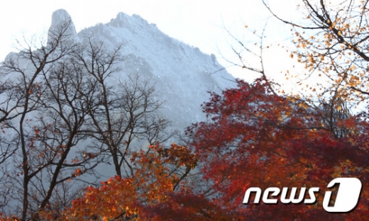 오늘날씨. /사진=뉴스1