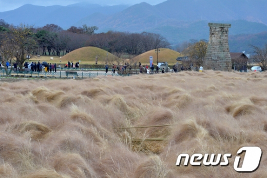 내일날씨. /사진=뉴스1