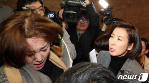 29일 서울 여의도 국회 로텐더홀 주변에서 과거사법 처리를 촉구하며 피켓시위를 하던 이재정 더불어민주당 의원이 나경원 자유한국당 원내대표와 정양석 원내수석부대표 등이 지나가자 '20대 국회 이대로 살인자가 되겠습니까'라고 외치며 달려들다 취재진과 엉키고 있다. /사진=뉴스1