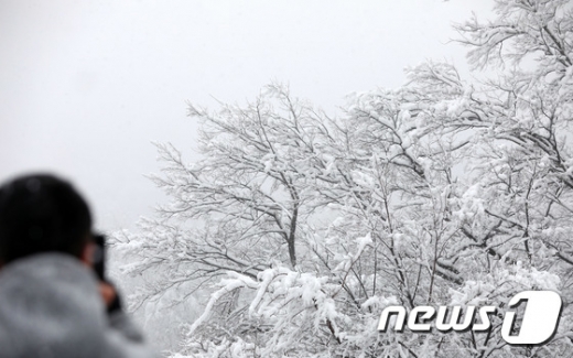내일날씨. /사진=뉴스1
