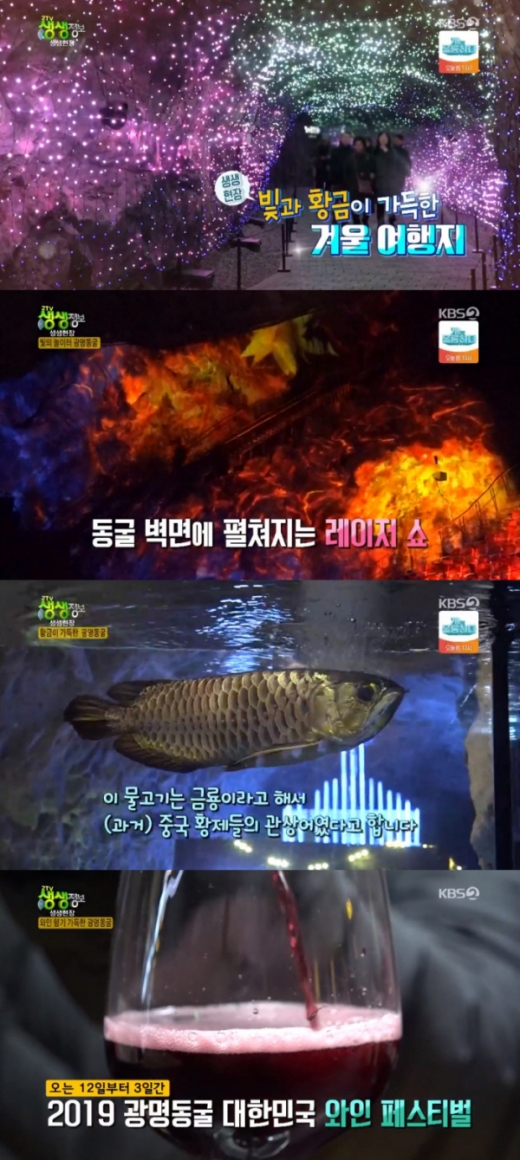 광명동굴. / 사진=KBS2 '2TV 생생정보' 방송화면 캡처