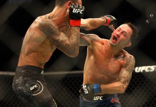 UFC240에서 프랭키 에드가(파란글러브)가 맥스 할러웨이와 대결하고 있다./©로이터