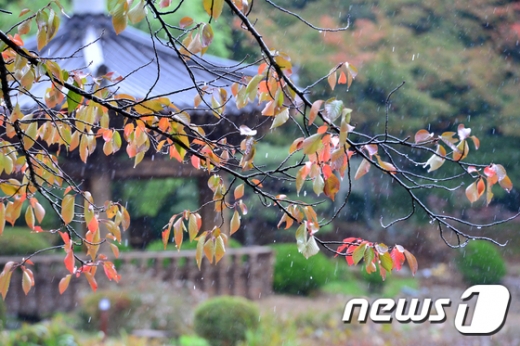 오늘날씨. /사진=뉴스1