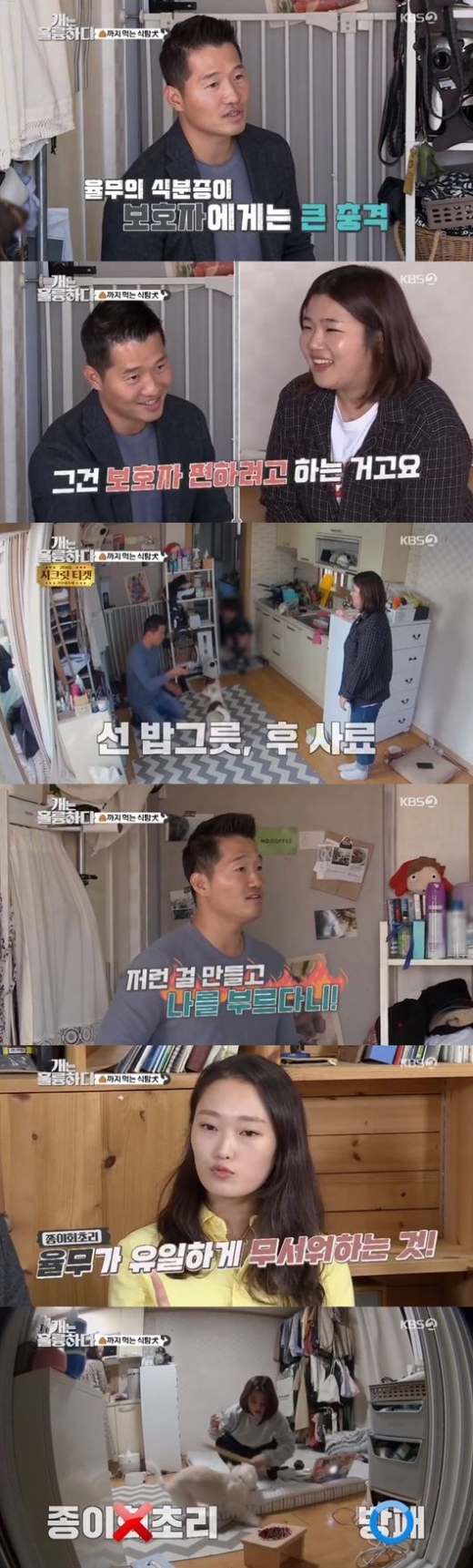 강형욱 분노. /사진=개는 훌륭하다 방송캡처