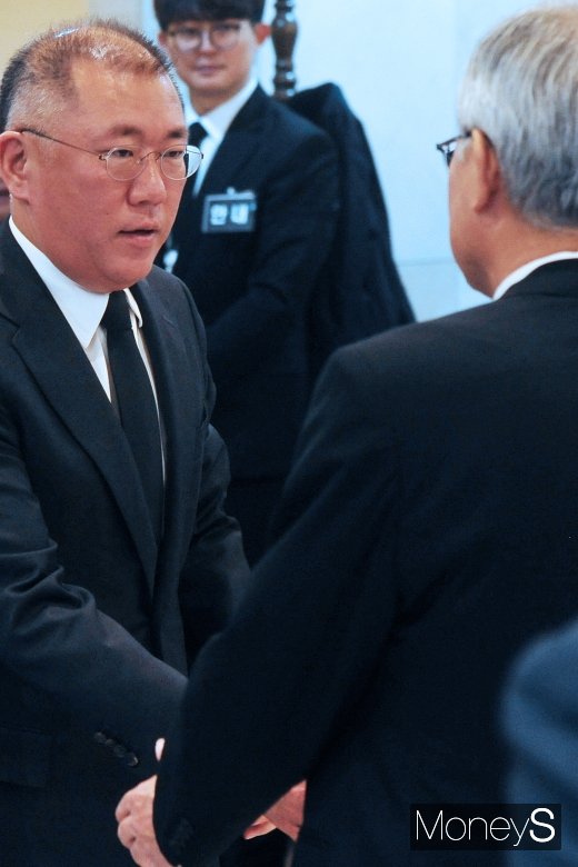 [머니S포토] 김우중 빈소, 인사 나누는 정의선