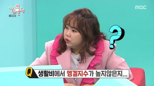 엥겔지수 언급 장면. /사진=MBC 전지적 참견 시점 방송 캡처   