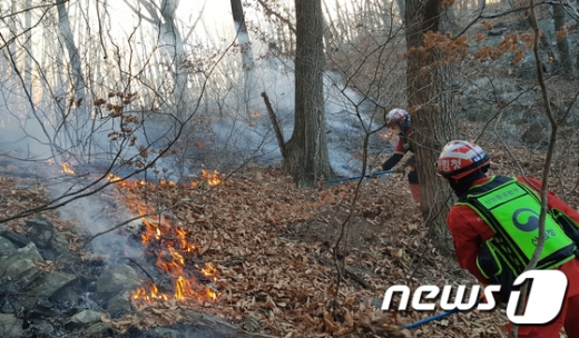 강원도 정선군 북평면 나전리 백석산 산불 발생 이틀째인 12일 오전 산림당국 관계자들이 낙엽을 따라 이동하는 불길을 진화하고 있다. /사진=뉴스1(강릉산림항공관리소 제공)