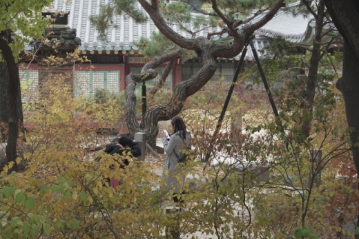 덕수궁 내부 개방로에서 본 덕수궁 풍경. /사진=한국관광공사