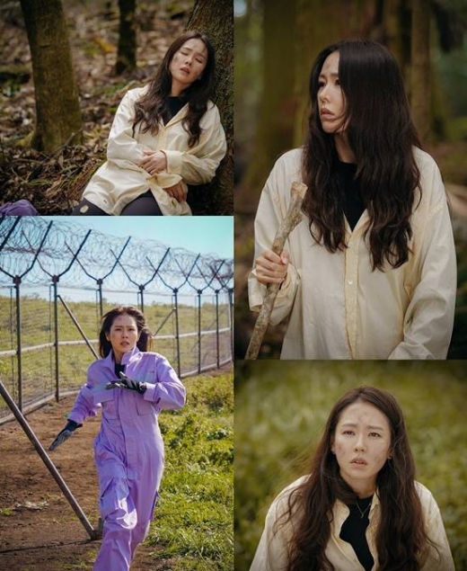 사랑의 불시착. /사진=tvN