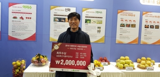 안성시 금광면 진윤호씨의 배(신화)가 ‘대한민국 과일산업대전 대표과일 선발대회’에서 최우수상을 수상하는 쾌거를 올렸다고 17일 밝혔다. / 사진제공=안성시