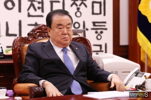 문희상 국회의장. /사진=임한별 기자