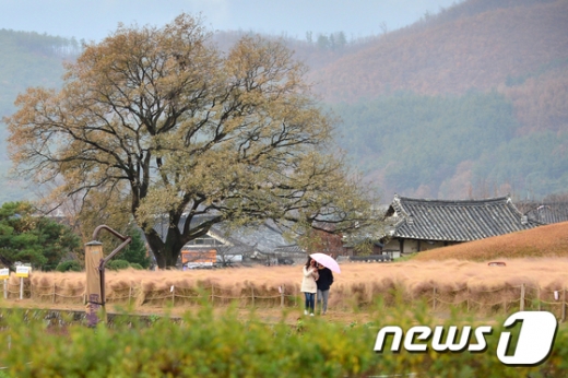 내일날씨. /사진=뉴스1
