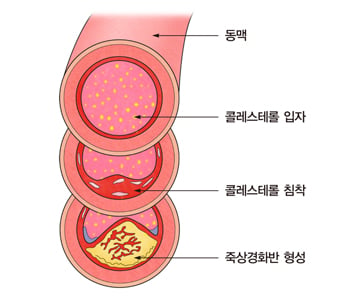 ./사진=서울아산병원