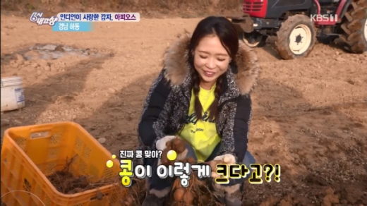 아피오스. /사진=KBS 6시 내고향 캡처   