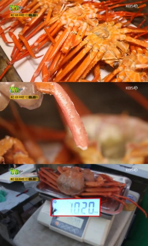 /사진=KBS2 '2TV 생생정보' 방송화면 캡처
