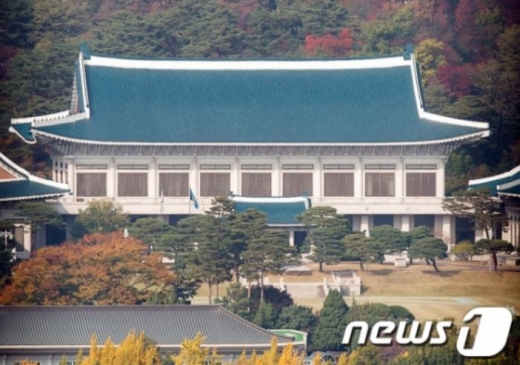 청와대가 30일 신년을 맞아 특별사면을 단행한 것과 관련해 입장을 밝혔다. /사진=뉴스1