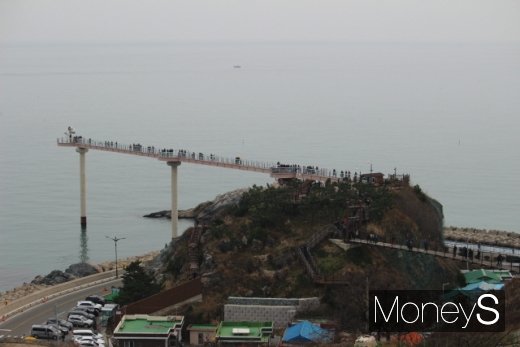 울진 등기산공원에서 바라본 스카이워크와 출렁다리. /사진=박정웅 기자