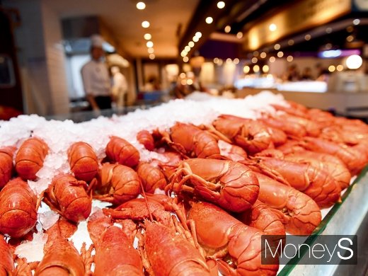 바이킹스 워프/사진=장동규 기자 