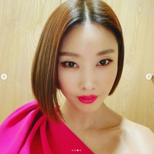 한혜진은 지난 30일 서울 마포구 상암 MBC 미디어센터 공개홀에서 열린 '2019 MBC 연기대상'에서 김성주와 함께 MC를 맡아 진행했다. /사진=한혜진 인스타그램