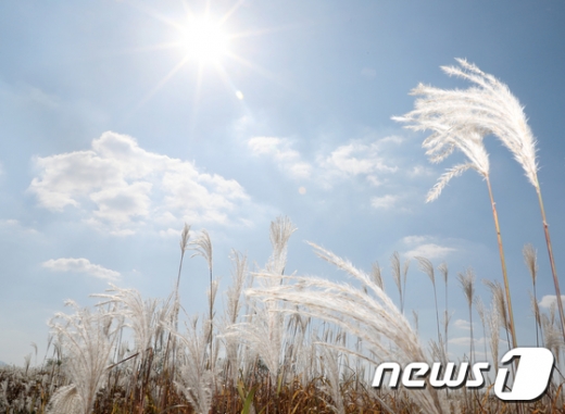 [오늘날씨] 오전 쌀쌀하다 오후부터 포근… 일교차 유의 - 동행미디어 시대