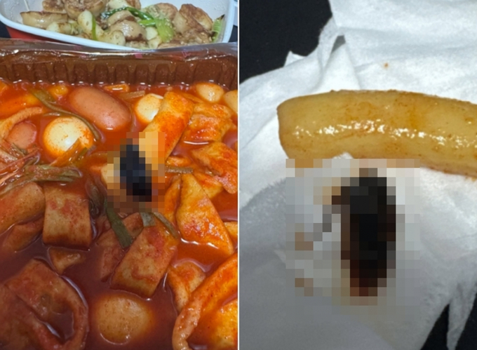 떡볶이 시켰더니 바퀴벌레가…유명 분식집 위생 논란 '일파만파'
