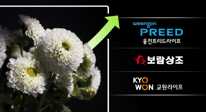 [상조3.0전쟁]여행에 헬스케어...웅진·보람·교원·소노·예다함, 판 흔... - 뉴스 썸네일 이미지