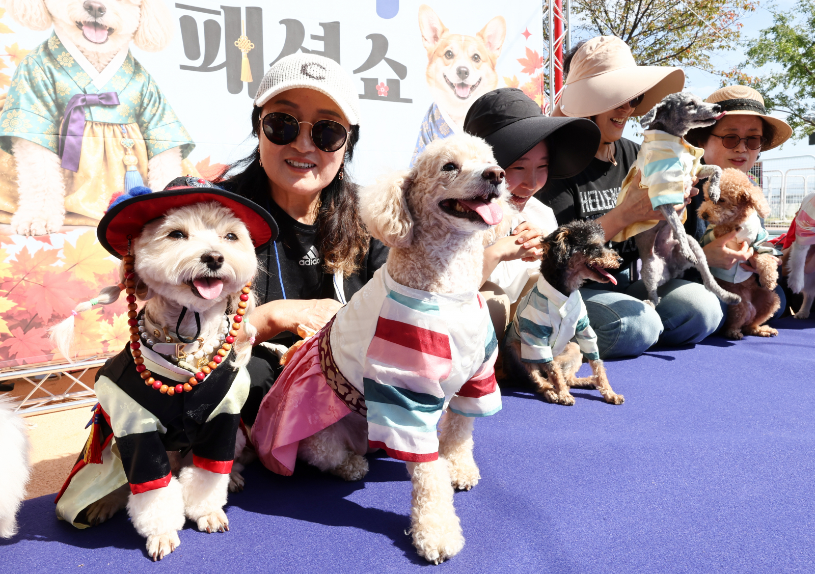 '부르는게 값' 동물병원 진료비 최대 110배 차이